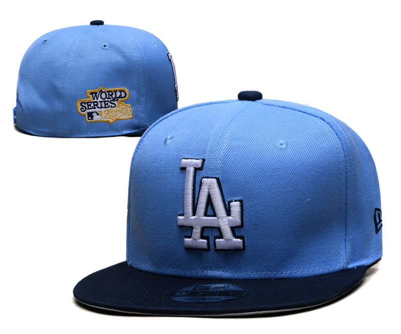 2024 MLB Los Angeles Dodgers Hat TX202407143